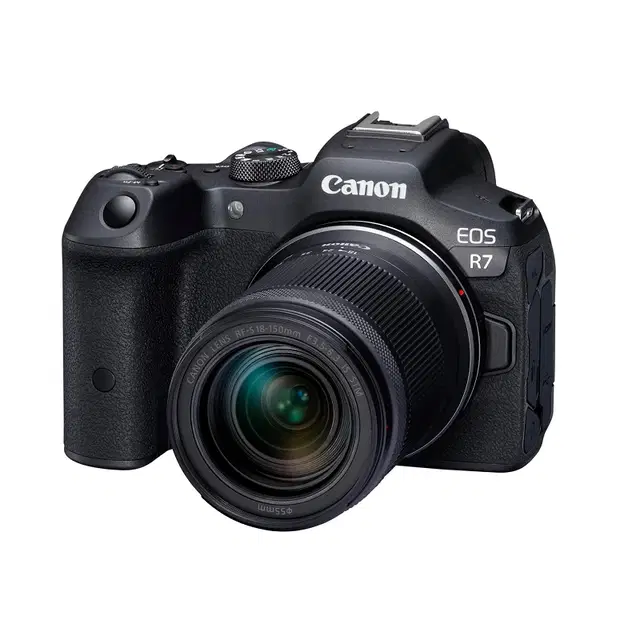 APS-C Cameras