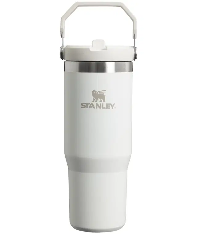 Stanley Ice Flow GO 870ml/30oz Flip Straw Water Bottle Frost (10-09993-407)