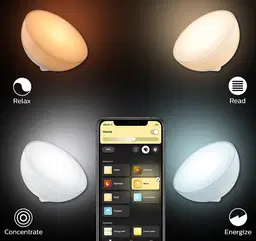 Sub Img 1!