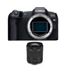 Canon EOS R8 Body Only + Canon RF 24-105mm F4-7.1 IS STM (RF24-105F4-7.1)