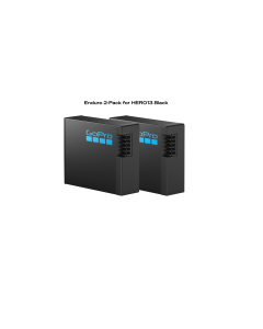 Enduro 2-Pack for HERO13 AEBAT-201 Long-Lasting High-Performance Battery (AEBAT-201)