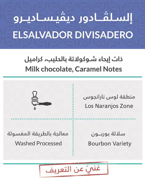 كِفة السلفادور ديفيساديرو حبوب القهوة (KIFFA-ELSALVADOR DIVISAD)