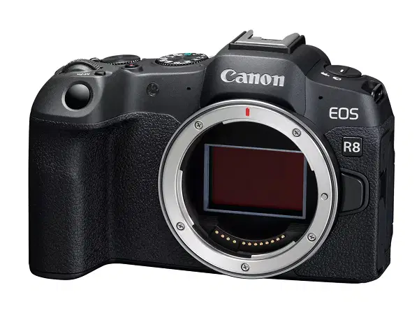 Canon EOS R8 Body Only + Canon RF 24-105mm F4-7.1 IS STM (EOSR8-B 